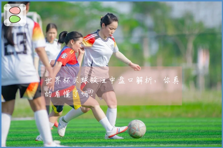 世界杯买球投注中盘口解析,你真的看懂了吗?