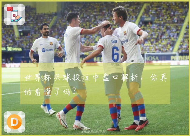 世界杯买球投注中盘口解析，你真的看懂了吗？