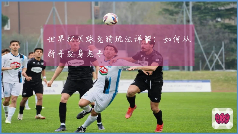 世界杯买球竞猜玩法详解：如何从新手变身老手