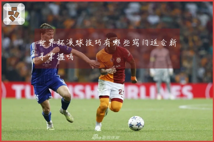 世界杯滚球技巧有哪些窍门适合新手掌握吗